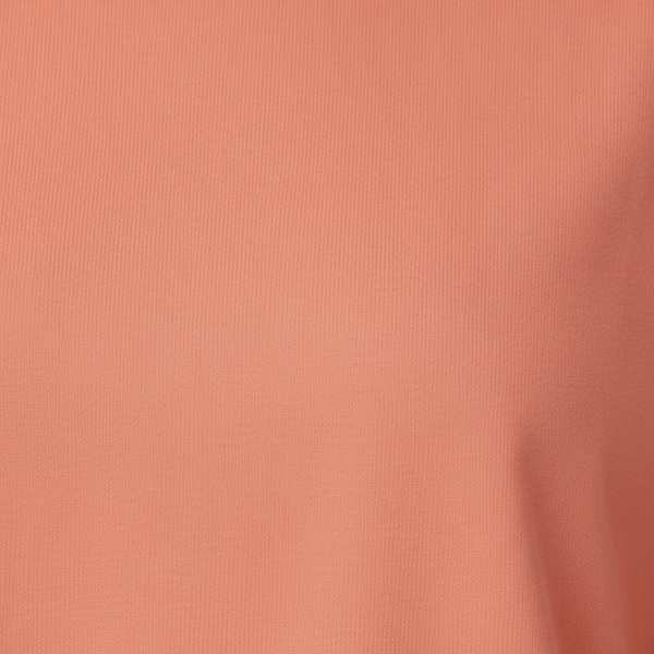 Women’s French Terry Oversized T-Shirt Dusty Cedar